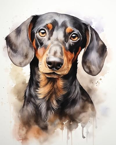 Wallphantom Malen Nach Zahlen,Dackel Tier Hund,Malen Nach Zahlen Kinder Anfänger,Geschenke,DIY Ölgemälde Set mit Pinseln Acrylpigment Leinwan,40x50cm Without Frame Wallphantom Malen Nach Zahlen,Dackel Tier Hund,Malen Nach Zahlen Kinder Anfänger,Geschenke,DIY Ölgemälde Set mit Pinseln Acrylpigment Leinwan,40x50cm Without Frame von Wallphantom