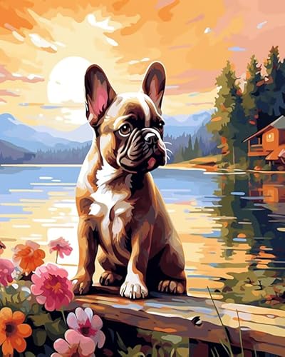 Wallphantom Malen Nach Zahlen Erwachsene,Französische Bulldogge,Seelandschaft,DIY Handgemalt Ölgemälde Leinwand Kits,Malen nach Zahlen für Geschenke,Home Deko,40x50cm rahmenlos Wallphantom Malen Nach Zahlen Erwachsene,Französische Bulldogge,Seelandschaft,DIY Handgemalt Ölgemälde Leinwand Kits,Malen nach Zahlen für Geschenke,Home Deko,40x50cm rahmenlos von Wallphantom
