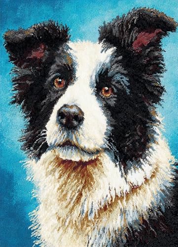 Wallphantom Tier Hund Knüpfteppich Zum Selber,Border Collie,DIY Kreuzstich Set,3D Teppich Tapisserie Set Für Erwachsene Kinder,Kreatives Geschenk Latch Hook Kit,60x90cm Wallphantom Tier Hund Knüpfteppich Zum Selber,Border Collie,DIY Kreuzstich Set,3D Teppich Tapisserie Set Für Erwachsene Kinder,Kreatives Geschenk Latch Hook Kit,60x90cm von Wallphantom