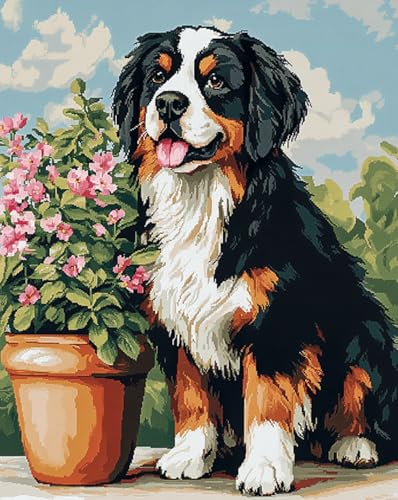 Wallphantom Tier Hund Knüpfteppich Zum Selber Knüpfen-Sets,Berner Sennenhund,Vorgedrucktes Muster Teppich Stickerei Handwerk Für Erwachsene,Handarbeit Selbst Knüpfen Set,80x115cm Wallphantom Tier Hund Knüpfteppich Zum Selber Knüpfen-Sets,Berner Sennenhund,Vorgedrucktes Muster Teppich Stickerei Handwerk Für Erwachsene,Handarbeit Selbst Knüpfen Set,80x115cm von Wallphantom