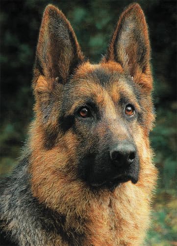 Wallphantom Tier Hund Knüpfteppich Zum Selber Knüpfen-Sets,Deutscher Schäferhund,Vorgedrucktes Muster Teppich Stickerei Handwerk Für Erwachsene,Handarbeit Selbst Knüpfen Set,60x90cm Wallphantom Tier Hund Knüpfteppich Zum Selber Knüpfen-Sets,Deutscher Schäferhund,Vorgedrucktes Muster Teppich Stickerei Handwerk Für Erwachsene,Handarbeit Selbst Knüpfen Set,60x90cm von Wallphantom