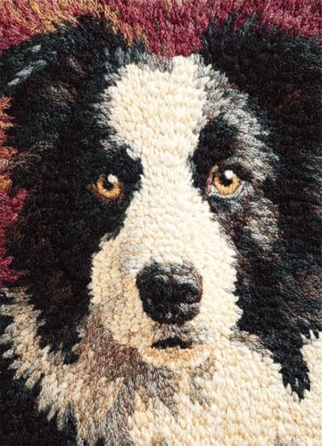 Wallphantom Tier Hund Latch Hook Rug Kit,Border Collie,Haken Hobby Basteln Für Erwachsene Teppichstickerei Gobelin-Set Handarbeits-Teppich,Teppich,60x90cm Wallphantom Tier Hund Latch Hook Rug Kit,Border Collie,Haken Hobby Basteln Für Erwachsene Teppichstickerei Gobelin-Set Handarbeits-Teppich,Teppich,60x90cm von Wallphantom