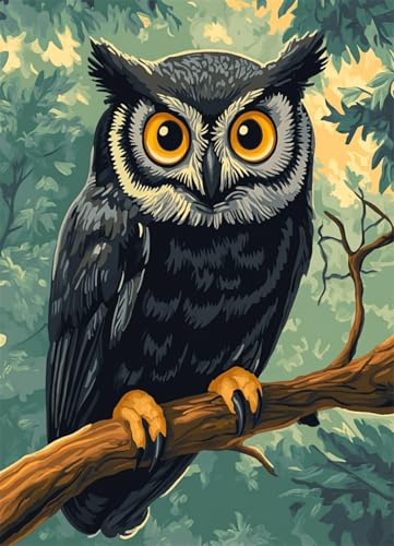 Wallphantom Tier Vogel Knüpfteppich Set DIY,Cartoon-Eule,Handarbeit Set Knüpfset für Anfänger,Teppich zum Selber Knüpfen Basteln Erwachsene Kreativ,Haus Dekoration Geschenk,90x120cm Wallphantom Tier Vogel Knüpfteppich Set DIY,Cartoon-Eule,Handarbeit Set Knüpfset für Anfänger,Teppich zum Selber Knüpfen Basteln Erwachsene Kreativ,Haus Dekoration Geschenk,90x120cm von Wallphantom