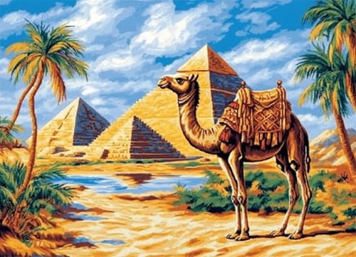 Wallphantom Wüstenlandschaft Knüpfteppich Zum Selber Knüpfen-Sets,Tier Kamel,Vorgedrucktes Muster Teppich Stickerei Handwerk Für Erwachsene,Handarbeit Selbst Knüpfen Set,60x90cm Wallphantom Wüstenlandschaft Knüpfteppich Zum Selber Knüpfen-Sets,Tier Kamel,Vorgedrucktes Muster Teppich Stickerei Handwerk Für Erwachsene,Handarbeit Selbst Knüpfen Set,60x90cm von Wallphantom