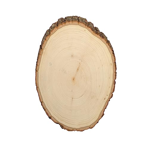 Walnut Hollow Rustikales Lindenholz, rund, mittelgroß, 17,8–22,9 cm breit, mit lebendem Rand, Holz (1 Stück) – für Holzverbrennung, Heimdekoration und rustikale Hochzeiten von Walnut Hollow
