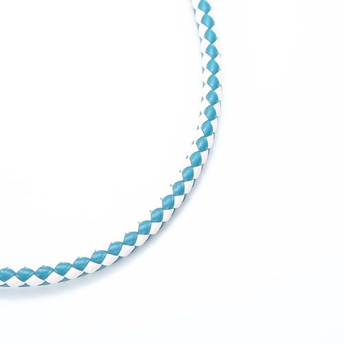10 M Geflochten Lederband Lederschnur Lederkordel,Durchmesser 7mm Geflochtenes Lederseil aus PU Leder Rundes Lederseil Lederschnüre Lederbänder zum DIY Basteln Schmuckherstellung,Weiß Himmelblau 10 M Geflochten Lederband Lederschnur Lederkordel,Durchmesser 7mm Geflochtenes Lederseil aus PU Leder Rundes Lederseil Lederschnüre Lederbänder zum DIY Basteln Schmuckherstellung,Weiß Himmelblau von Wambere