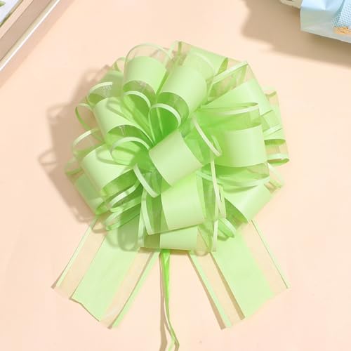 5 Stück Große Geschenkschleife,Ziehschleifen Dekoschleife Geschenk Schleife Geschenkband Zierschleife Geschenkbänder Pull Bögen,für DIY Basteln Geschenkverpackung Hochzeit Geburtstag,Hellgrün 5 Stück Große Geschenkschleife,Ziehschleifen Dekoschleife Geschenk Schleife Geschenkband Zierschleife Geschenkbänder Pull Bögen,für DIY Basteln Geschenkverpackung Hochzeit Geburtstag,Hellgrün von Wambere