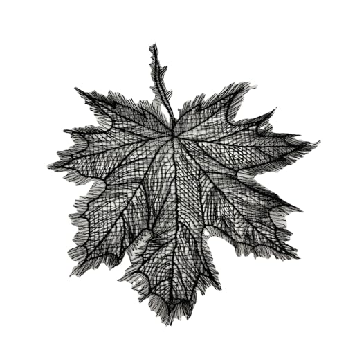 5 Stück Spitze Stickerei Ahornblat Aufnäher Patches Gestickter Ahornblatt Flicken Applikationen zum Aufnähen Spitzenapplikation für DIY Handwerk Kopfbedeckung Hochzeit Kleidungsdekoration,Schwarz 5 Stück Spitze Stickerei Ahornblat Aufnäher Patches Gestickter Ahornblatt Flicken Applikationen zum Aufnähen Spitzenapplikation für DIY Handwerk Kopfbedeckung Hochzeit Kleidungsdekoration,Schwarz von Wambere