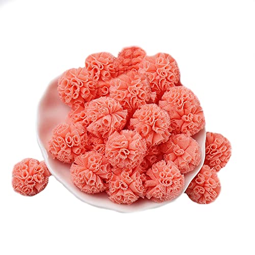 50 Stück Pompons Bunte Bommeln Bälle Deko Set,Bunte Pompons zum Basteln 25mm,für Hobbybedarf und kreatives Basteln DIY Kreativen zum Basteln von Girlanden Filzkugelteppich 50 Stücke,Rosa E2.5cm 50 Stück Pompons Bunte Bommeln Bälle Deko Set,Bunte Pompons zum Basteln 25mm,für Hobbybedarf und kreatives Basteln DIY Kreativen zum Basteln von Girlanden Filzkugelteppich 50 Stücke,Rosa E2.5cm von Wambere
