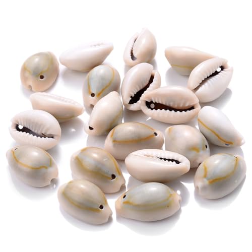 60 Stück Muscheln bastelnmuscheln mit löcher Ideal zum Basteln, Deko oder zum Schmuckherstellung,VasenfüLlung,ArmbäNder,HalskettenzubehöR,Hochzeitsdekoration Zum Thema Strandparty,wahre Farbe von Wambere