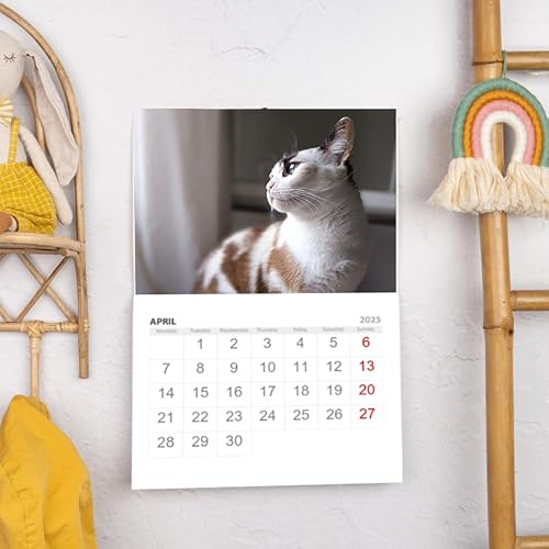 Wanapix | Fotokalender 2025 zum selbstgestalten | Auf Deutsch | Wandkalender mit Foto | Mit Loch zum Aufhängen | 32 x 45 cm | 100% Personalisiert Wanapix | Fotokalender 2025 zum selbstgestalten | Auf Deutsch | Wandkalender mit Foto | Mit Loch zum Aufhängen | 32 x 45 cm | 100% Personalisiert von Wanapix