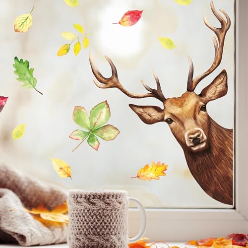 Wandtattoo Loft Fensterbild reinschauender Hirsch Rotwild Wild bunte Blätter Herbst herbstlicher Fensteraufkleber Fensterdeko Herbstdeko, 2. A3 Bogen, von rechts Wandtattoo Loft Fensterbild reinschauender Hirsch Rotwild Wild bunte Blätter Herbst herbstlicher Fensteraufkleber Fensterdeko Herbstdeko, 2. A3 Bogen, von rechts von Wandtattoo Loft