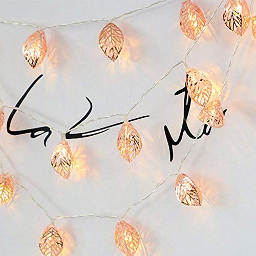 Wankd Lichterkette federn, LED-Lichterkette, Metall, 1,5M, 10 LEDs, Rotgold, Federform, batteriebetrieben, für Innenbereich, Schlafzimmer, Hochzeit, Party, Dekoration, Warmweiß Wankd Lichterkette federn, LED-Lichterkette, Metall, 1,5M, 10 LEDs, Rotgold, Federform, batteriebetrieben, für Innenbereich, Schlafzimmer, Hochzeit, Party, Dekoration, Warmweiß von Wankd
