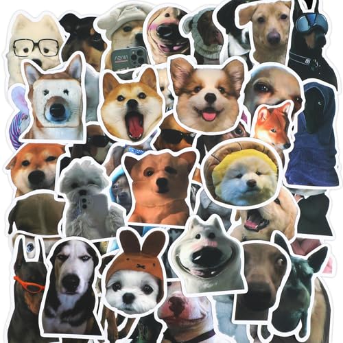 Wanmu 100 Stück Lustige Meme Sticker Set, Lustige Hundememe Aufkleber, wasserdichte Vinyl Welpenaufkleber für Wasserflaschen Laptops Gepäck Skateboards, Partyzubehör Wanmu 100 Stück Lustige Meme Sticker Set, Lustige Hundememe Aufkleber, wasserdichte Vinyl Welpenaufkleber für Wasserflaschen Laptops Gepäck Skateboards, Partyzubehör von Wanmu