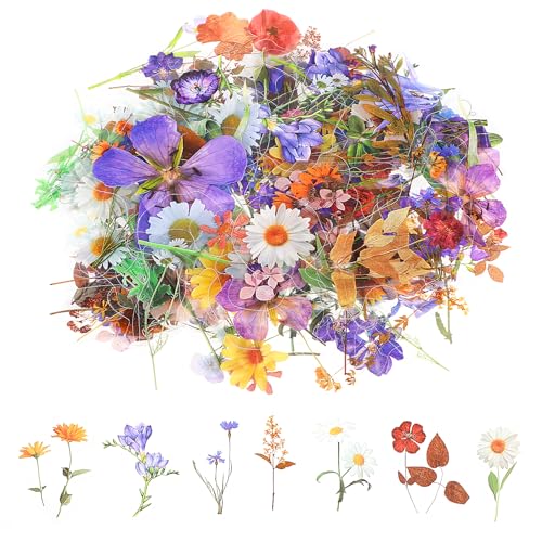 Wanmu 120 Stück Aufkleber Blumen Wasserfest, Transparente Blumenaufkleber, PET Wasserfeste Bunte Kleine Gepresste Blumenaufkleber, Vintage Naturpflanzenaufkleber für Journaling, Scrapbooking Wanmu 120 Stück Aufkleber Blumen Wasserfest, Transparente Blumenaufkleber, PET Wasserfeste Bunte Kleine Gepresste Blumenaufkleber, Vintage Naturpflanzenaufkleber für Journaling, Scrapbooking von Wanmu