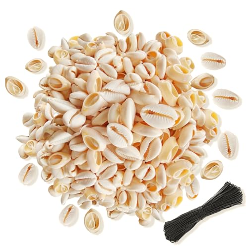150 Stück natürliche weiße Kaurimuschelperlen mit 30 geflochtenen Kordeln, 1,6 cm - 1,8 cm, glatte ovale Muschelperlen für DIY-Schmuckherstellung, Verzieren von Haarschlössern und Zöpfen von Wanwanzi