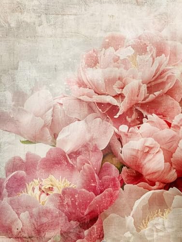 Malen Nach Zahlen Blume, Malen Nach Zahlen Erwachsene Anfänger DIY Leinwand Acrylfarbe Malen Nach Zahlen Kits Peony, Paint by Numbers Basteln Erwachsene für Home Decor Geschenk 60x80cm Rahmenlos D-R Malen Nach Zahlen Blume, Malen Nach Zahlen Erwachsene Anfänger DIY Leinwand Acrylfarbe Malen Nach Zahlen Kits Peony, Paint by Numbers Basteln Erwachsene für Home Decor Geschenk 60x80cm Rahmenlos D-R von Wanziho