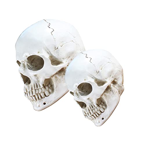 Warmhm 2St Schädel Halloween Party Halloween Dekoration Edith Eger das halloweendeko im wei Halloween- Halloween-Skelettfigur Halloween-Party- spukhaus Harz Weiß Warmhm 2St Schädel Halloween Party Halloween Dekoration Edith Eger das halloweendeko im wei Halloween- Halloween-Skelettfigur Halloween-Party- spukhaus Harz Weiß von Warmhm
