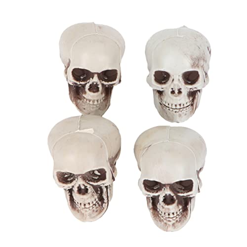 Warmhm 4 Stück Skelett Requisiten -Bandana Mini-schädel Skelett-Halloween- Schädelkopf Halloween Tischskelett Künstliche Schädelverzierung Tasse Stütze Dino Schaum Warmhm 4 Stück Skelett Requisiten -Bandana Mini-schädel Skelett-Halloween- Schädelkopf Halloween Tischskelett Künstliche Schädelverzierung Tasse Stütze Dino Schaum von Warmhm
