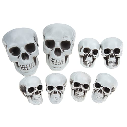 Warmhm Halloween Schädel Dekoration Realistische Kopf Modelle Für Tisch Deko Gruselige Kopf Ornamente Für Halloween Party Und Zuhause Ideal Für Bar Und Essbereich Warmhm Halloween Schädel Dekoration Realistische Kopf Modelle Für Tisch Deko Gruselige Kopf Ornamente Für Halloween Party Und Zuhause Ideal Für Bar Und Essbereich von Warmhm