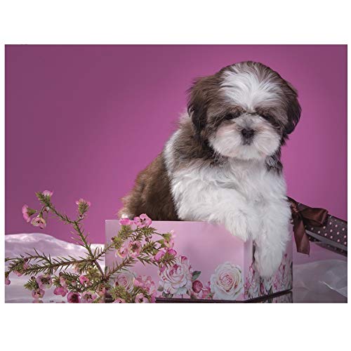 Diamond Painting Set,Shih Tzu Hund Diy 5D Diamant Malerei Kreuzstich Diamant Stickerei Niedlichen Haustier Bohrer Strass 3D Bild Mosaik Diamant 40x50cm von Warreal