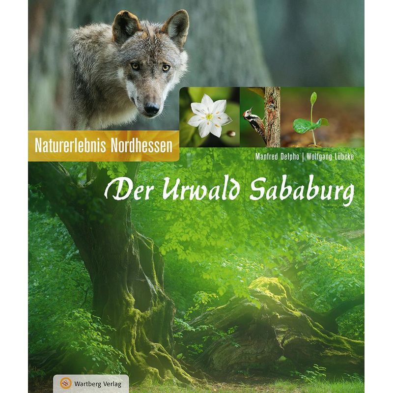Der Urwald Sababurg - Manfred Delpho, Wolfgang Lübcke, Gebunden von Wartberg