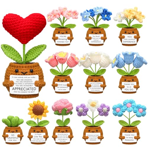 Wavwavw 12 Stück positive Häkelblumen, handgefertigte Häkelpuppe mit Karte, inspirierendes Dankeschön-Geschenk für Frauen, Kollegen, Mitarbeiter, Lehrer (Anerkennungsblume) von Wavwavw