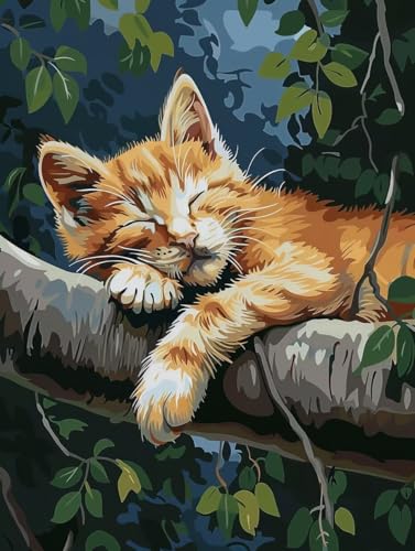 Malen Nach Zahlen Erwachsene mit Rahmen Tier Malen Nach Zahlen Katze Paint by Numbers Kreativ Set mit Pinseln und Acrylfarben Farbe Handgemalt Ölgemälde Leinwand Kit, Deko Wohnzimmer 60x80cm -e68G von Waxonle