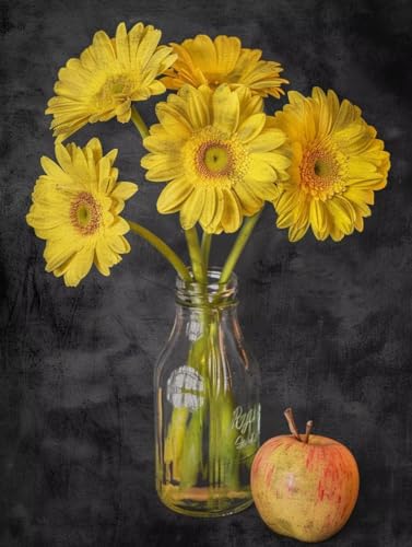 Malen Nach Zahlen Erwachsene ohne Rahmen Blume Malen Nach Zahlen Obst Paint by Numbers Kreativ Set mit Pinseln und Acrylfarben Farbe Handgemalt Ölgemälde Leinwand Kit, Deko Wohnzimmer 100x135cm -h400 Malen Nach Zahlen Erwachsene ohne Rahmen Blume Malen Nach Zahlen Obst Paint by Numbers Kreativ Set mit Pinseln und Acrylfarben Farbe Handgemalt Ölgemälde Leinwand Kit, Deko Wohnzimmer 100x135cm -h400 von Waxonle