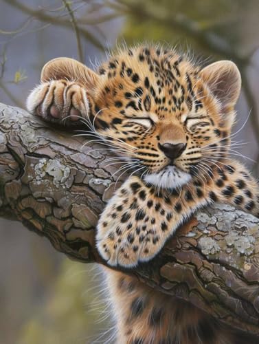 Malen Nach Zahlen Erwachsene ohne Rahmen Leopard Malen Nach Zahlen Tier Paint by Numbers Kreativ Set mit Pinseln und Acrylfarben Farbe Handgemalt Ölgemälde Leinwand, Deko Wohnzimmer 100x135cm -h352 von Waxonle