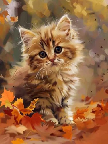 Malen Nach Zahlen Katze Malen Nach Zahlen Erwachsene Herbst Paint by Numbers Mit 3 - Pinseln und Acrylfarbe Farbe Leinwand Kreativ Set für Erwachsene Kinder Geschenke und Home Haus Deko 50x65cm -e783 von Waxonle