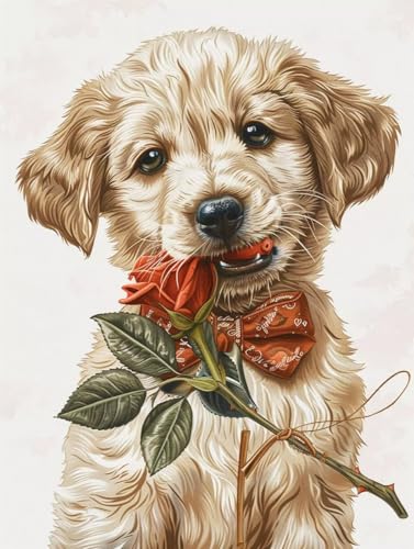 Malen Nach Zahlen Tier Malen Nach Zahlen Erwachsene Hund Paint by Numbers Mit 3 - Pinseln und Acrylfarbe Farbe Leinwand Kreativ Set für Erwachsene Kinder Geschenke und Home Haus Deko 70x95cm -j459 Malen Nach Zahlen Tier Malen Nach Zahlen Erwachsene Hund Paint by Numbers Mit 3 - Pinseln und Acrylfarbe Farbe Leinwand Kreativ Set für Erwachsene Kinder Geschenke und Home Haus Deko 70x95cm -j459 von Waxonle