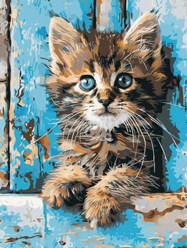 Malen Nach Zahlen Tier Malen Nach Zahlen Erwachsene Katze Paint by Numbers Mit 3 - Pinseln und Acrylfarbe Farbe Leinwand Kreativ Set für Erwachsene Kinder Geschenke und Home Haus Deko 60x80cm -r72K von Waxonle