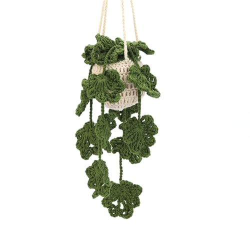 Wdbild Häkelkits Hängende Topfpflanzenhäkelmaterial Mit Garnhäkeln Haken Häkelstarter Kits Für Anfänger Erwachsene Wdbild Häkelkits Hängende Topfpflanzenhäkelmaterial Mit Garnhäkeln Haken Häkelstarter Kits Für Anfänger Erwachsene von Wdbild