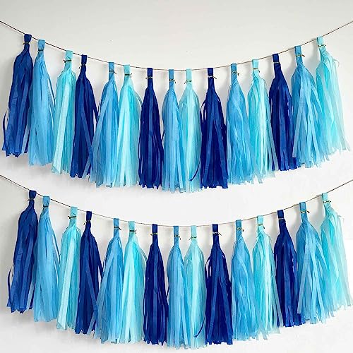 15 Stück Blau Quaste Girlande,Seidenpapier Tassel Girlande für Baby Dusche Deko,Geburtstag,Hochzeit Party Dekoration 15 Stück Blau Quaste Girlande,Seidenpapier Tassel Girlande für Baby Dusche Deko,Geburtstag,Hochzeit Party Dekoration von We Moment Zone