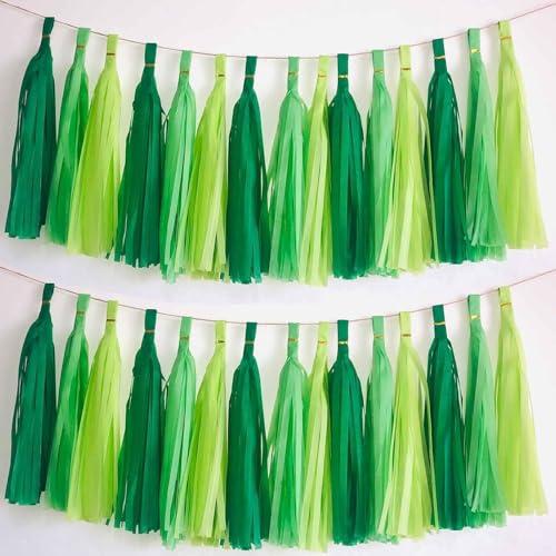 15 Stück Grün Quaste Girlande,Seidenpapier Tassel Girlande für Baby Dusche Deko,Geburtstag,Hochzeit Party Dekoration 15 Stück Grün Quaste Girlande,Seidenpapier Tassel Girlande für Baby Dusche Deko,Geburtstag,Hochzeit Party Dekoration von We Moment Zone