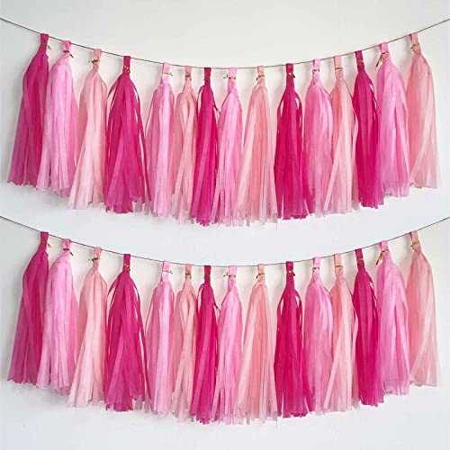 15 Stück Rosa Quaste Girlande,Seidenpapier Tassel Girlande für Baby Dusche Deko,Geburtstag,Hochzeit Party Dekoration 15 Stück Rosa Quaste Girlande,Seidenpapier Tassel Girlande für Baby Dusche Deko,Geburtstag,Hochzeit Party Dekoration von We Moment Zone