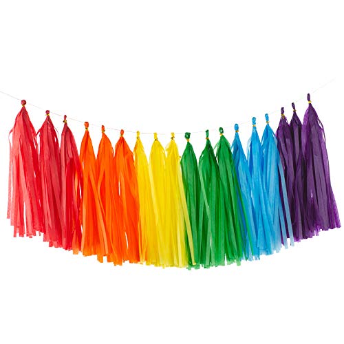 30 Stück Bunt Quaste Girlande,Seidenpapier Tassel Girlande für Baby Dusche Deko,Geburtstag,Hochzeit Party Dekoration 30 Stück Bunt Quaste Girlande,Seidenpapier Tassel Girlande für Baby Dusche Deko,Geburtstag,Hochzeit Party Dekoration von We Moment Zone