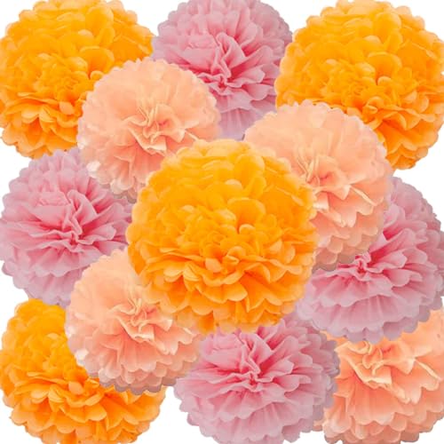 We Moment Zone 12 Stück Papier Pompons Set,Rosa Orange Pfirsich Pom Poms Papier für Baby Jungen und Mädchen Geburtstag Party Deko We Moment Zone 12 Stück Papier Pompons Set,Rosa Orange Pfirsich Pom Poms Papier für Baby Jungen und Mädchen Geburtstag Party Deko von We Moment Zone