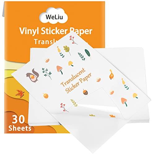 Bedruckbares Vinyl-Stickerpapier für Ihren Tintenstrahldrucker – 21,6 x 27,9 cm, 30 Blatt durchsichtiges, wasserdichtes Aufkleberpapier – trocknet schnell und hält Tinte schön von WeLiu