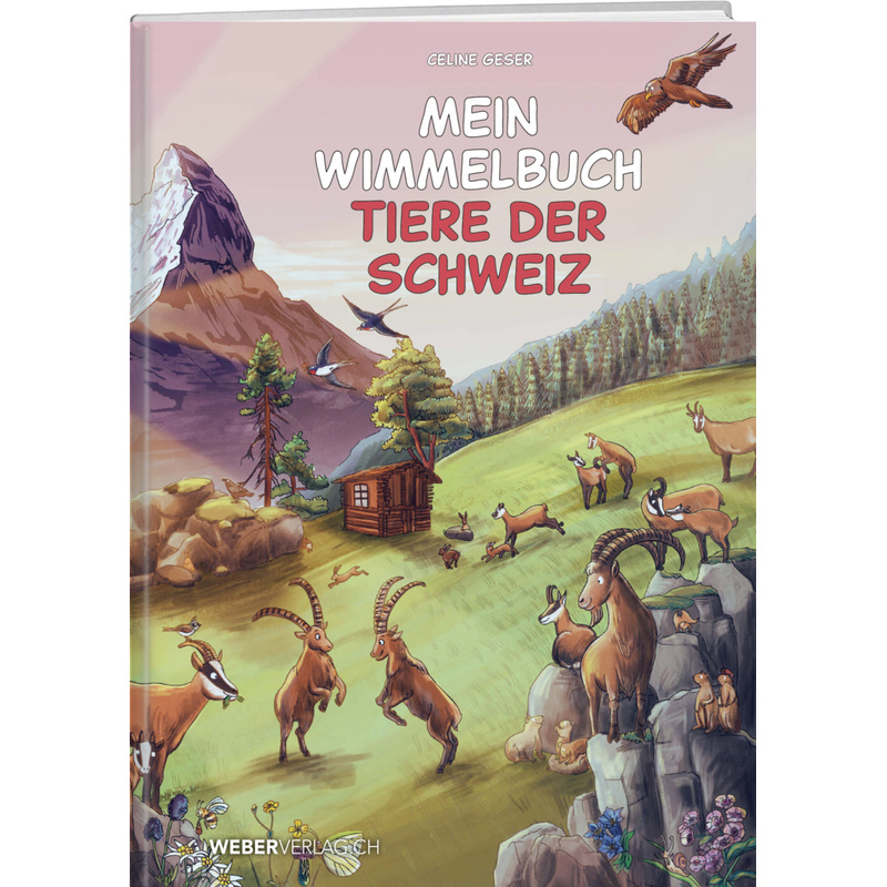 Mein Wimmelbuch Tiere Der Schweiz - Celine Geser, Pappband von Weber Verlag Thun