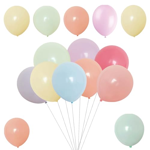 WedDecor 100 Stück sortierte Macaron-Ballons, 25,4 cm Helium-Partyballons für Kinder-Party, Jahrestag, Hochzeitsdekoration, Event-Zubehör, Zubehör von WedDecor