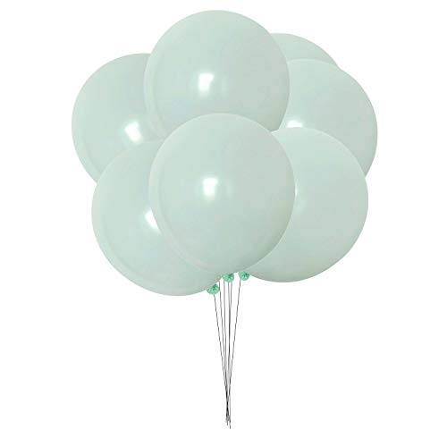 WedDecor 100pcs Pastell Türkis Blau Latex Ballon 10" Groß Helium Grad Luftballons Macaron Pastell Geburtstags Ballons für Kinder Party Jubiläum, Hochzeitsdekoration Ereignis Vorräte Zubehör von WedDecor