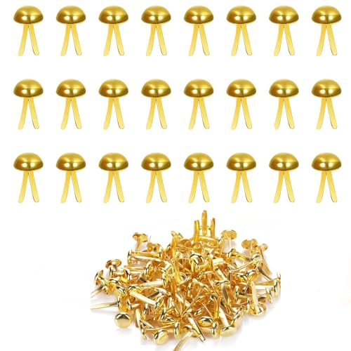 Weenwill Mini Brads,300 Stück 8x16mm Metall Rundkopfklammern Musterklammern Scrapbooking Brads Musterbeutelklammern Verschlussklammern für Basteln,Verzierungen und DIY(Gold) von Weenwill