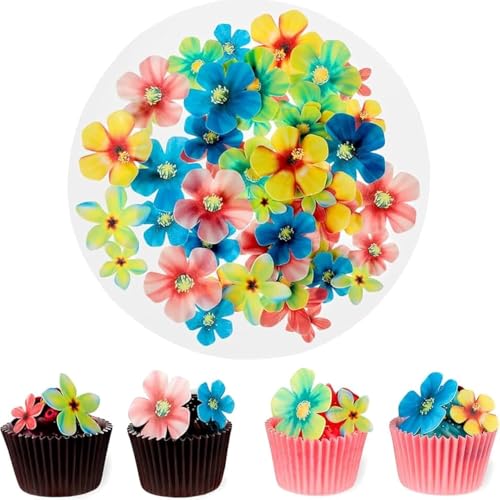 72 Stück Blumen Tortenaufsätze,Blüten,Blüten, Zuckerblumen Tortendeko Cupcake Kuchendeko 72 Stück Blumen Tortenaufsätze,Blüten,Blüten, Zuckerblumen Tortendeko Cupcake Kuchendeko von Wefaly