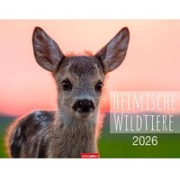 Weingarten Monats-Wandkalender Heimische Wildtiere 2026 von Weingarten