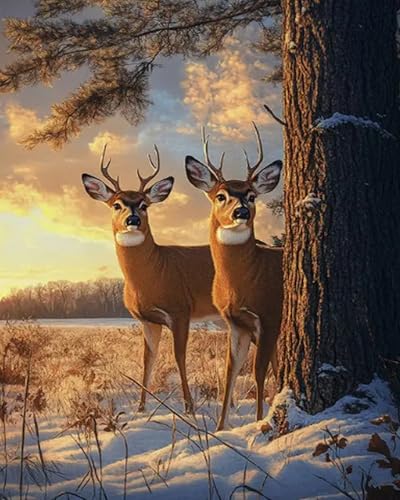 Weiniuniu 5D-Diamant-Malset Tier Hirsch DIY Malen Nach Zahlen Erwachsene und Kinder runde Strassmalerei Bilder Home Decor 40x50 cm Weiniuniu 5D-Diamant-Malset Tier Hirsch DIY Malen Nach Zahlen Erwachsene und Kinder runde Strassmalerei Bilder Home Decor 40x50 cm von Weiniuniu