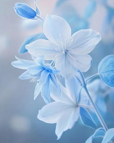 Weiniuniu Kreuzstich Stickpackung Blaue Blumen DIY Stickvorlagen Stickbilder 11CT Vorgedruckt Kreuzstich Set für Anfänger Home Decor 40x50 cm von Weiniuniu
