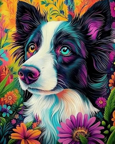Weiniuniu Kreuzstich Stickpackung Border Collie DIY Stickvorlagen Stickbilder 11CT Vorgedruckt Kreuzstich Set für Anfänger Home Decor 50x70 cm Weiniuniu Kreuzstich Stickpackung Border Collie DIY Stickvorlagen Stickbilder 11CT Vorgedruckt Kreuzstich Set für Anfänger Home Decor 50x70 cm von Weiniuniu