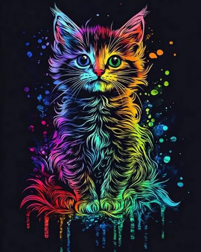 Weiniuniu Kreuzstich Stickpackung Bunte Katze DIY Stickvorlagen Stickbilder 11CT Vorgedruckt Kreuzstich Set für Anfänger Home Decor 50x70 cm von Weiniuniu